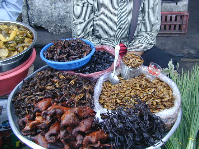 spiders at market