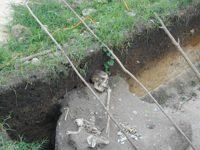 skeleton at dig