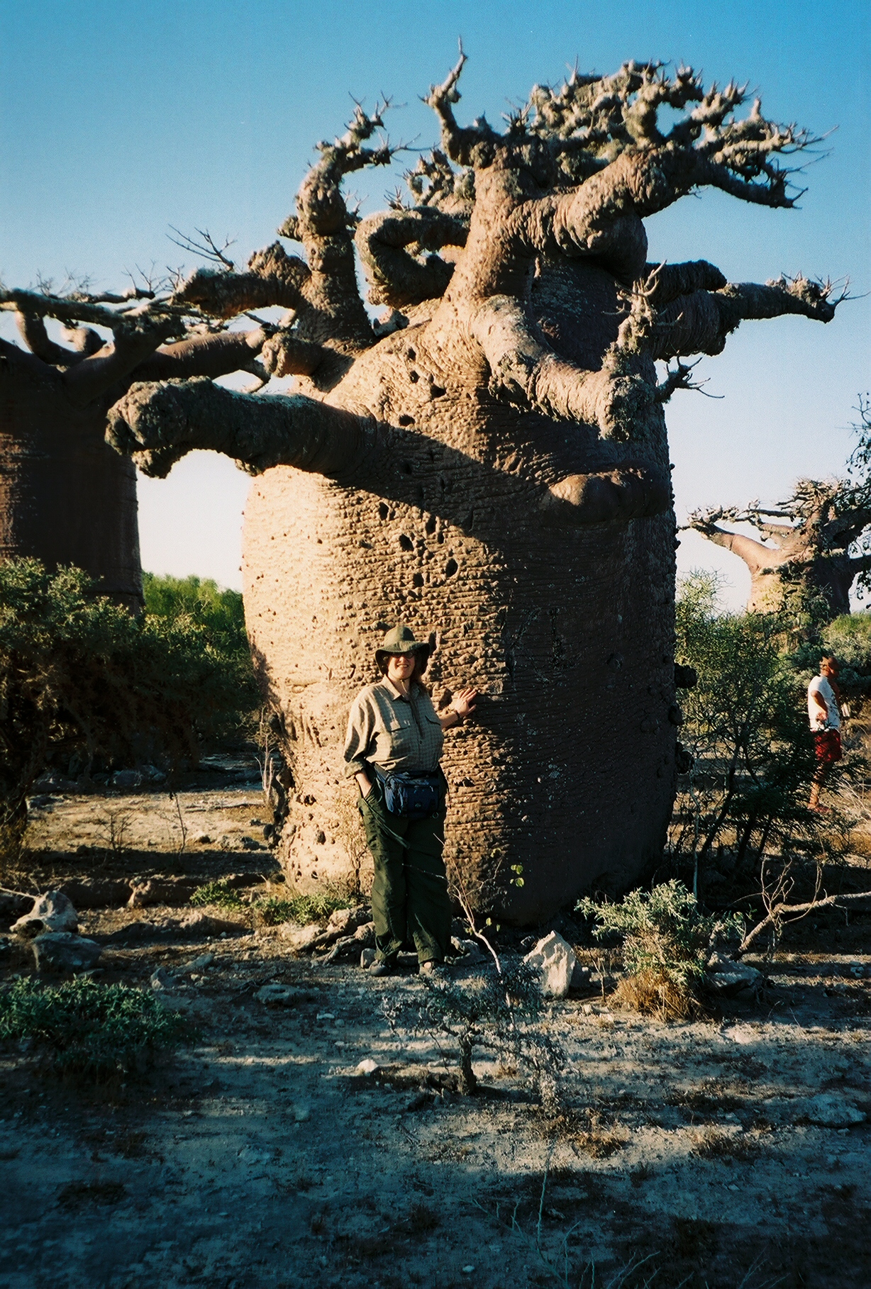 me in front of a baobab