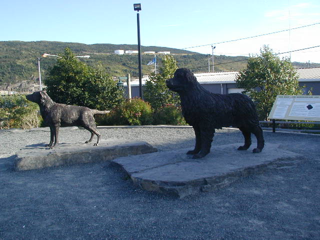 statues of newfoundland and labrador retriever dogs