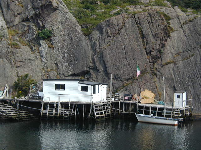 quidi vidi