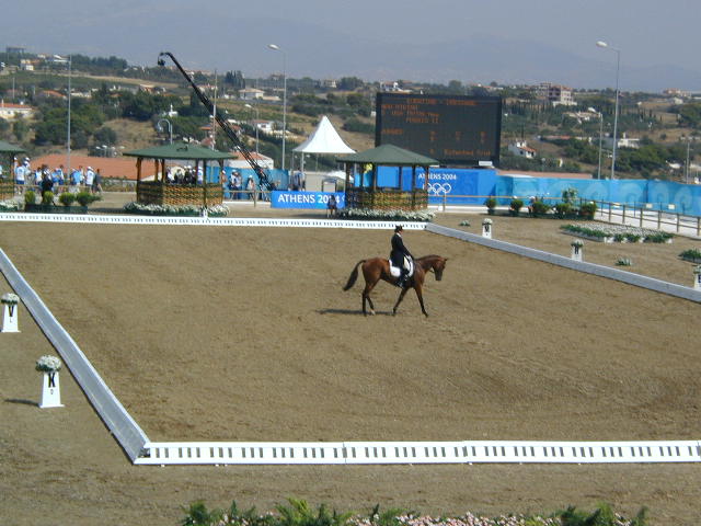 dressage competition